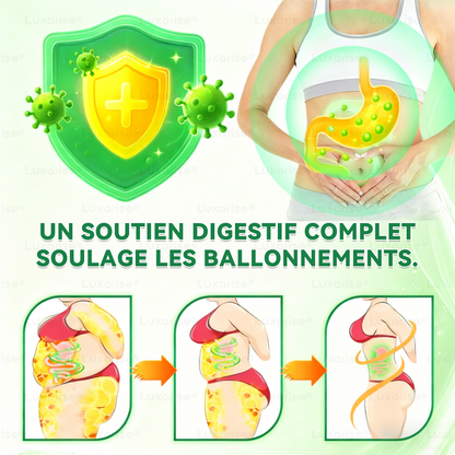 𝐒𝐨𝐥𝐚𝐫𝐨𝐳𝐚® 𝐅𝐫𝐚𝐧𝐜𝐞 | Site Officiel - La Cure Perte de Poids 10-en-1 (NAD+ & Berbérine)