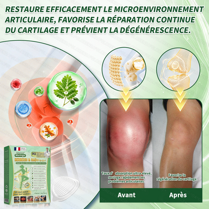 𝐒𝐨𝐥𝐚𝐫𝐨𝐳𝐚® 𝐅𝐫𝐚𝐧𝐜𝐞 | Site Officiel - La Cure Perte de Poids 10-en-1 (NAD+ & Berbérine)